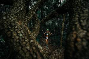 BIB: 
                            <button type="button" onclick="openModal(25679556)" class="btn btn-primary btn-sm float-right btn-popup" data-toggle="modal" data-target=".modal-high-quality">
                        <i class="fas fa-shopping-cart"></i> Add to Cart
                    </button>
                                            <button type="button" onclick="isThisMe(25679556, true)" class="btn btn-success btn-sm float-right btn-popup btn-isme hidden" data-toggle="tooltip" data-placement="bottom" title="นี่คือรูปของคุณใช่ไหม คลิกที่นี่เพื่อเอาเข้าอัลบั้ม">
                        <i class="fas fa-plus"></i> Add to album
                    </button>
                    <button type="button" onclick="isThisMe(25679556, false)" class="btn btn-warning btn-sm float-right btn-popup btn-isnotme hidden">
                        <i class="fas fa-ban"></i> Remove from album
                    </button>